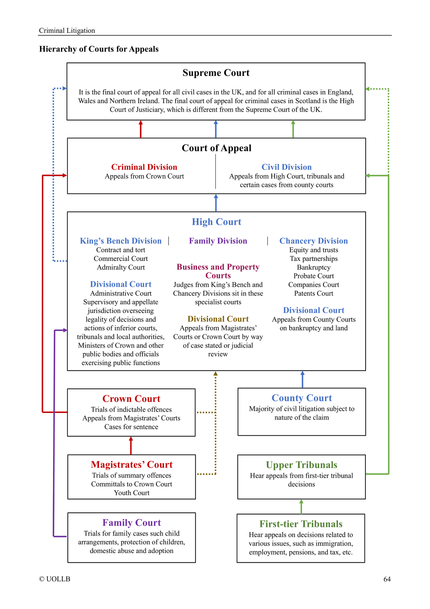 Criminal Litigation